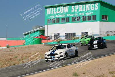 media/May-07-2022-Cobra Owners Club of America (Sat) [[e681d2ddb7]]/Yellow/Session 1 (Turn 4)/